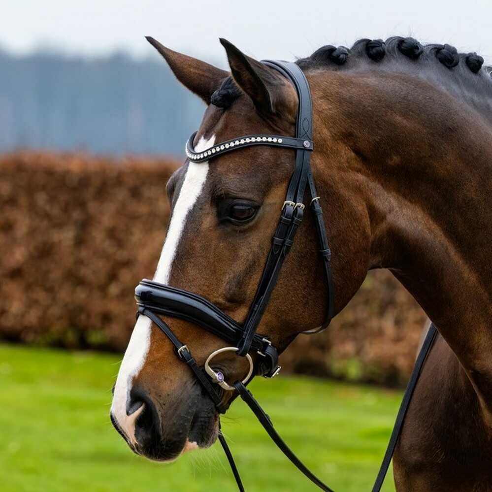 rotterdam-dressage-bridle-anatomic-patent-crank