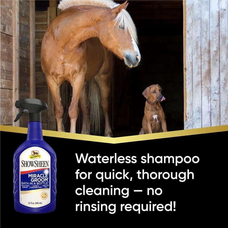 ShowSheen_MiracleGroom_Carousel_Waterless_2048x2048