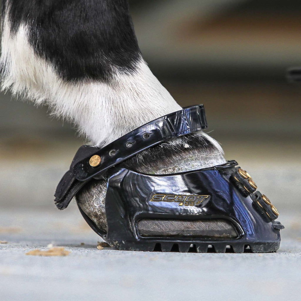 sideviewscootboot_1502x1502