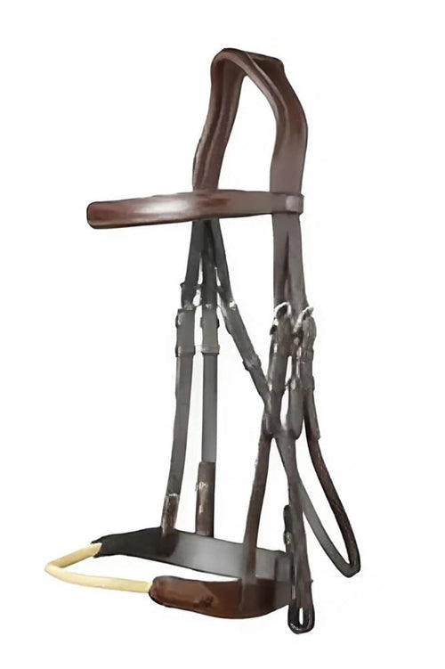 snapedit_1719129859964