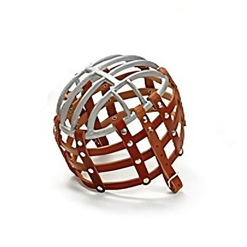 snapedit_1732457764004