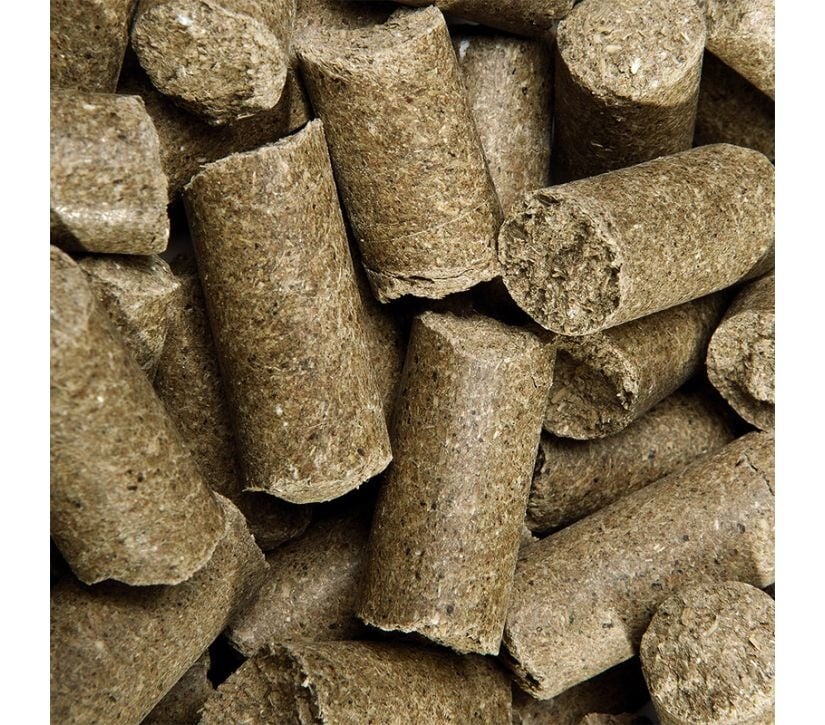 Speed Delicious Speedies Paardensnack Appel – HorseOnline
