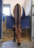 stable_guard_1_1