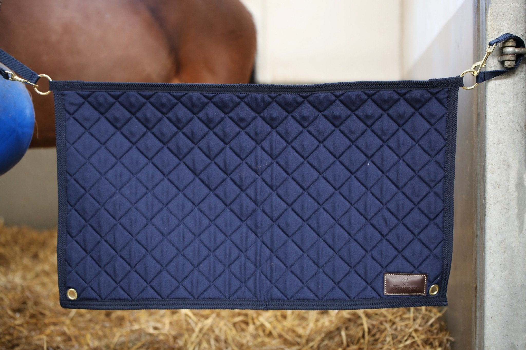 stable_guard_1_