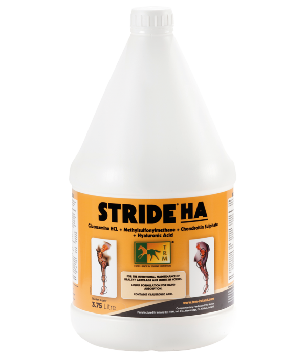 stride-ha-600x700