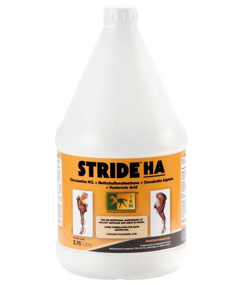 stride-ha-600x700