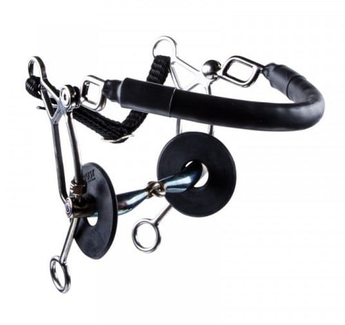 sweet_iron_hackamore_combi_long_locked