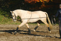 TN128023_image_bewegung