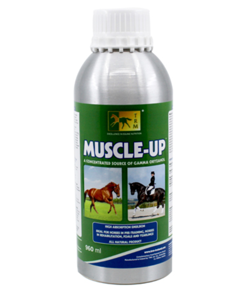 trm-muscle-up