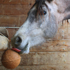 unika-balls-endurance_mo