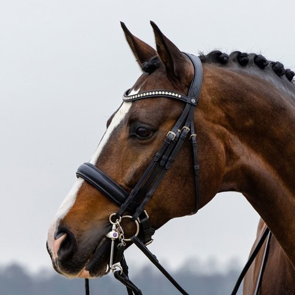 Wellington-Double-Bridle