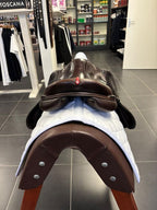 WhatsApp Image 2026-01-28 at 11.03.24 (1)